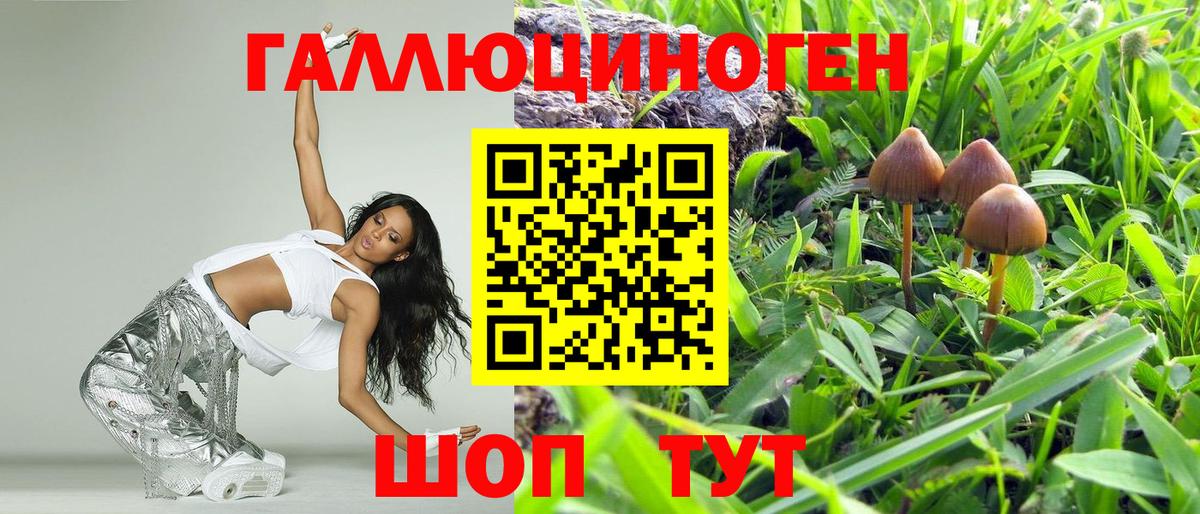 Псилоцибиновые грибы Magic Shrooms  Вход с VPN  Галлюциногенные грибы Cubensis  Северск 