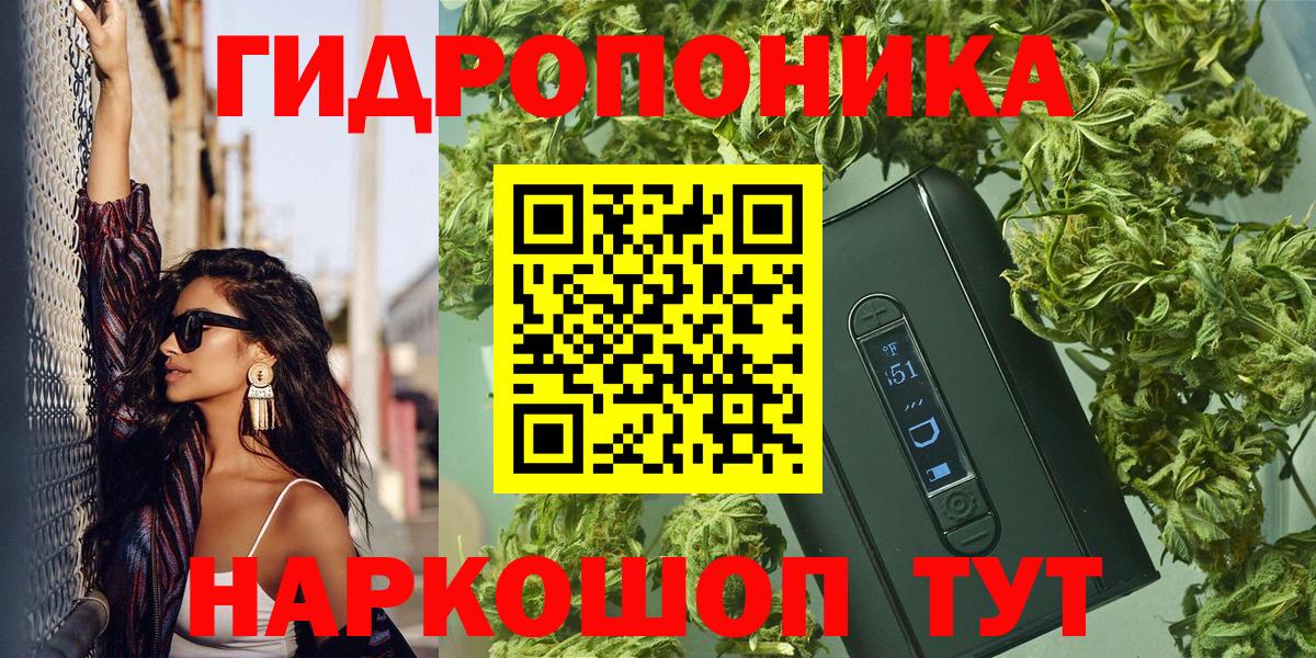Бошки марихуана ГИДРОПОН  Вход с VPN  Бошки марихуана семена  Северск  Конопля сатива 
